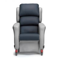 Repose Multi Flex Porter Mobile Care Chair
